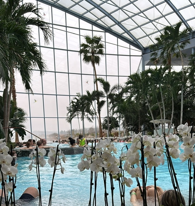 badewelt sinsheim