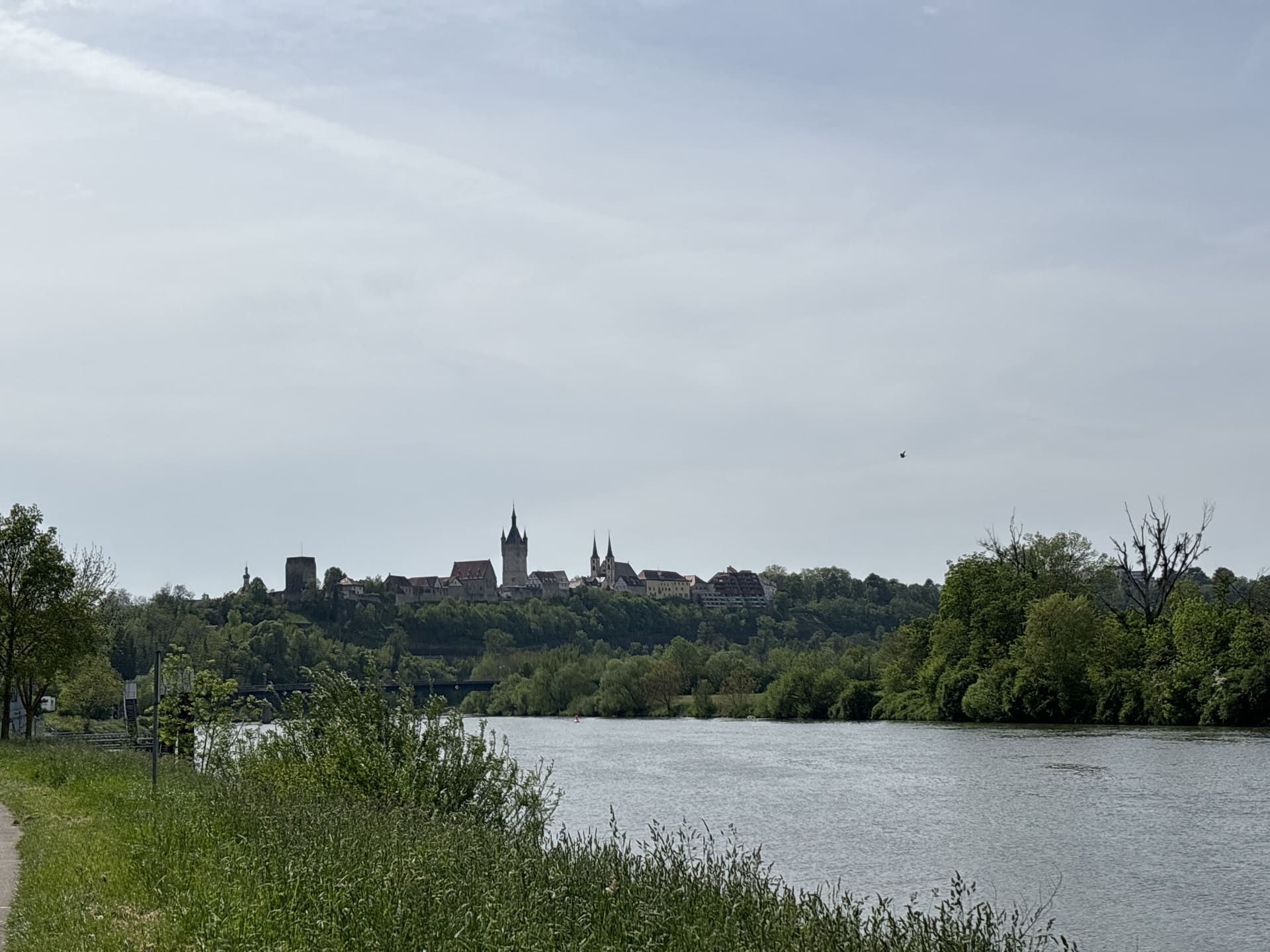 hotel sonne ausflugsziele bad wimpfen
