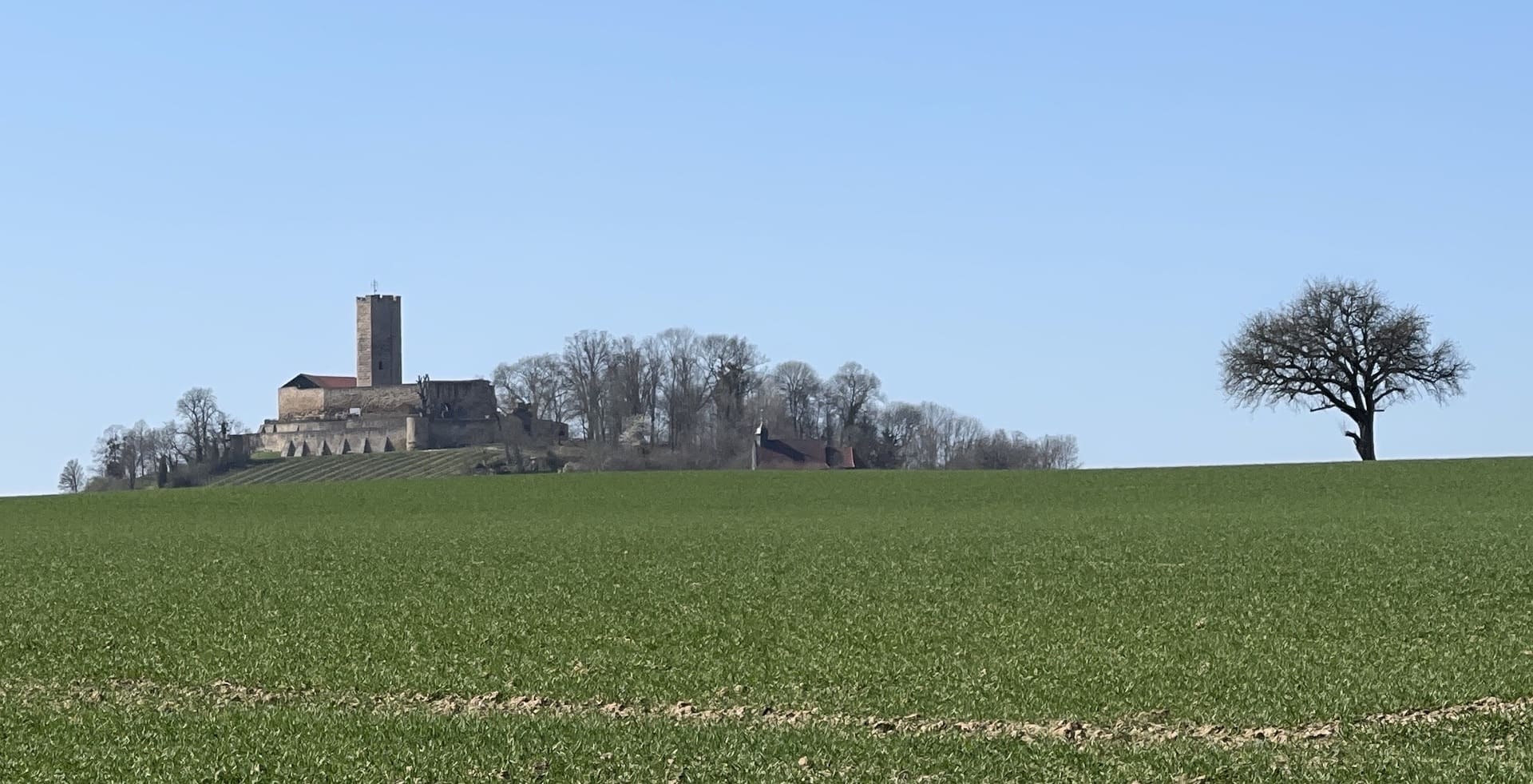 hotel sonne ausflugsziele burg steinberg