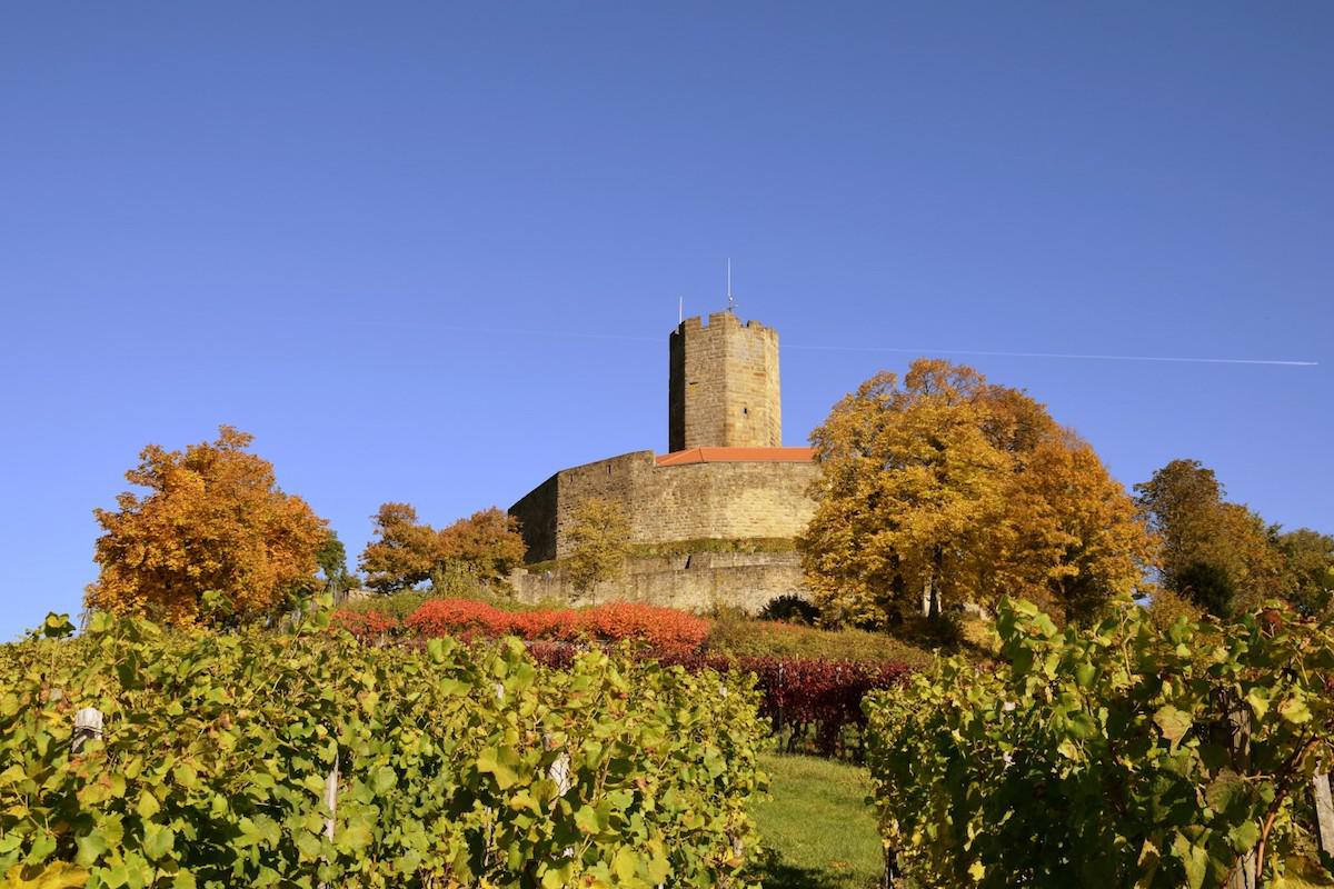 4 2 4 sins burg herbst grid fullwidth