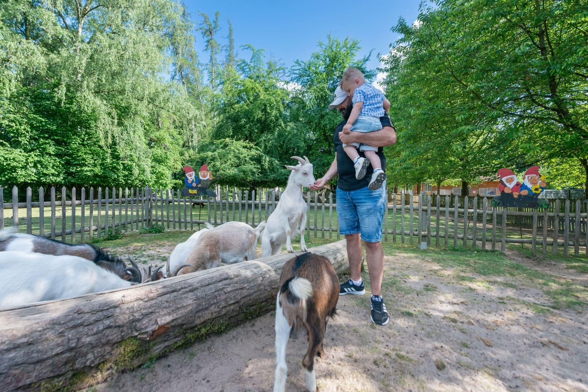 wildparkstreiche schwarzach 0190 (c)barth 2022 (3)